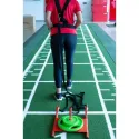 trineo-entrenamienkto.webp