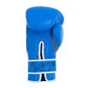 par-de-guantes-boxeo-fullboxinng-master-2.webp